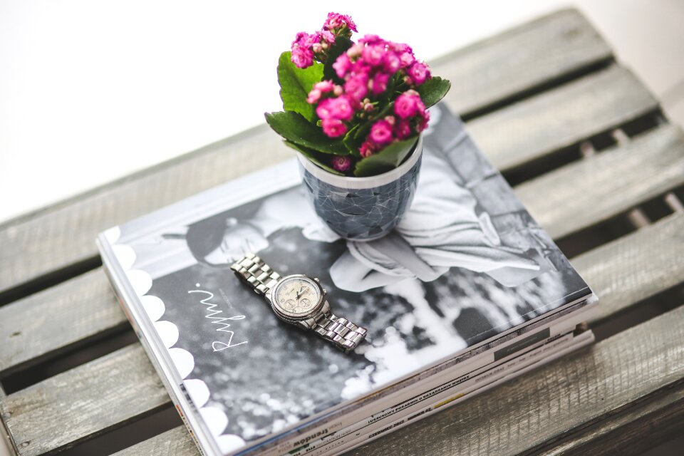 Magazine flower pink