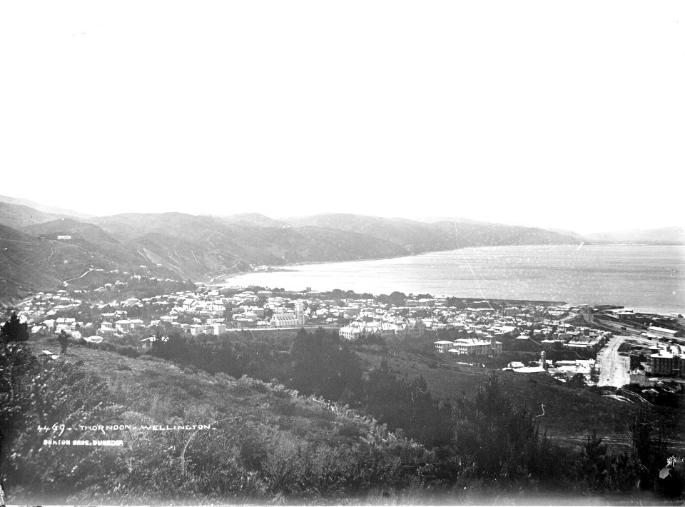 36; Elevated view of Thorndon - Circa 1880 - Glass Plate Negative