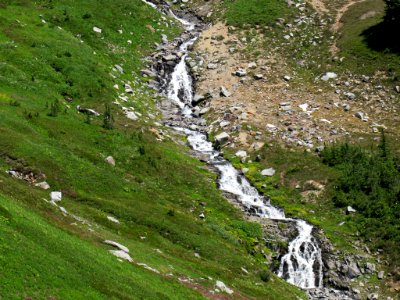 Waterfall at Skyline Trail at Mt. Rainier NP in WA