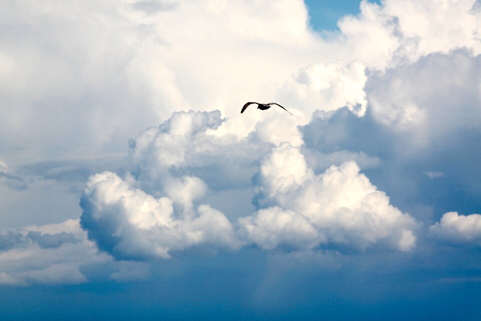 Fly sky blue sky clouds photo