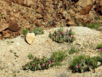 Navajo Land in The SW