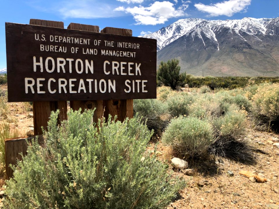 Horton Creek Campground