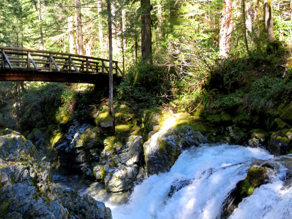Opal Creek Wilderness in Oregon