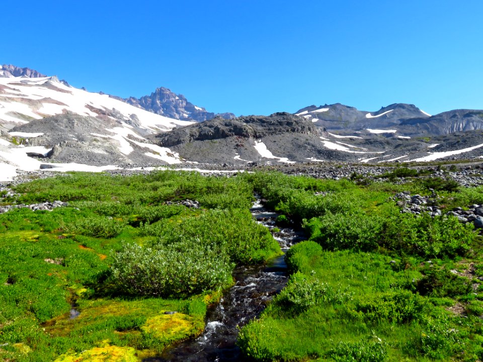 Skyline Trail at Mt. Rainier NP in WA