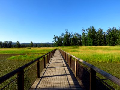 Steigerwald Lake NWR in WA