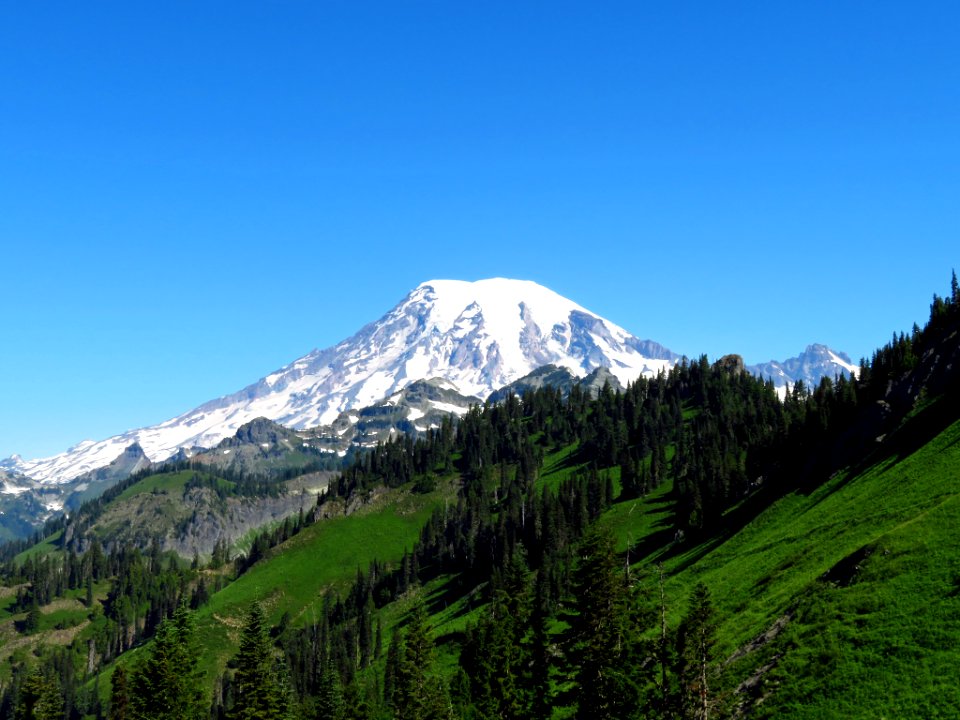 Mt. Rainier on Tatoosh Peak Trail in WA