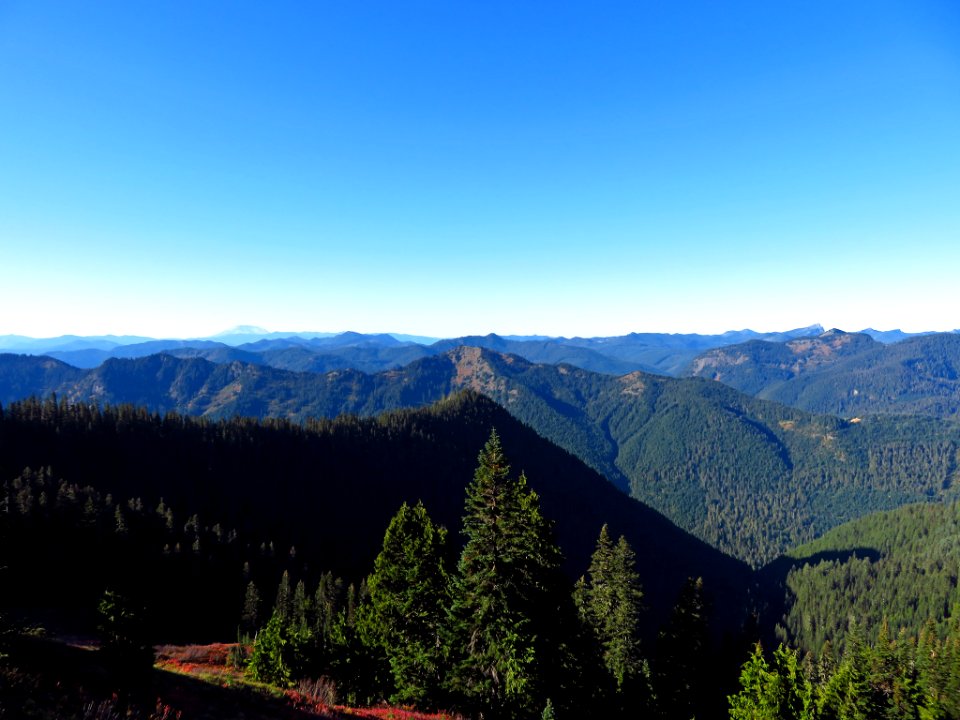Tatoosh Ridge in WA