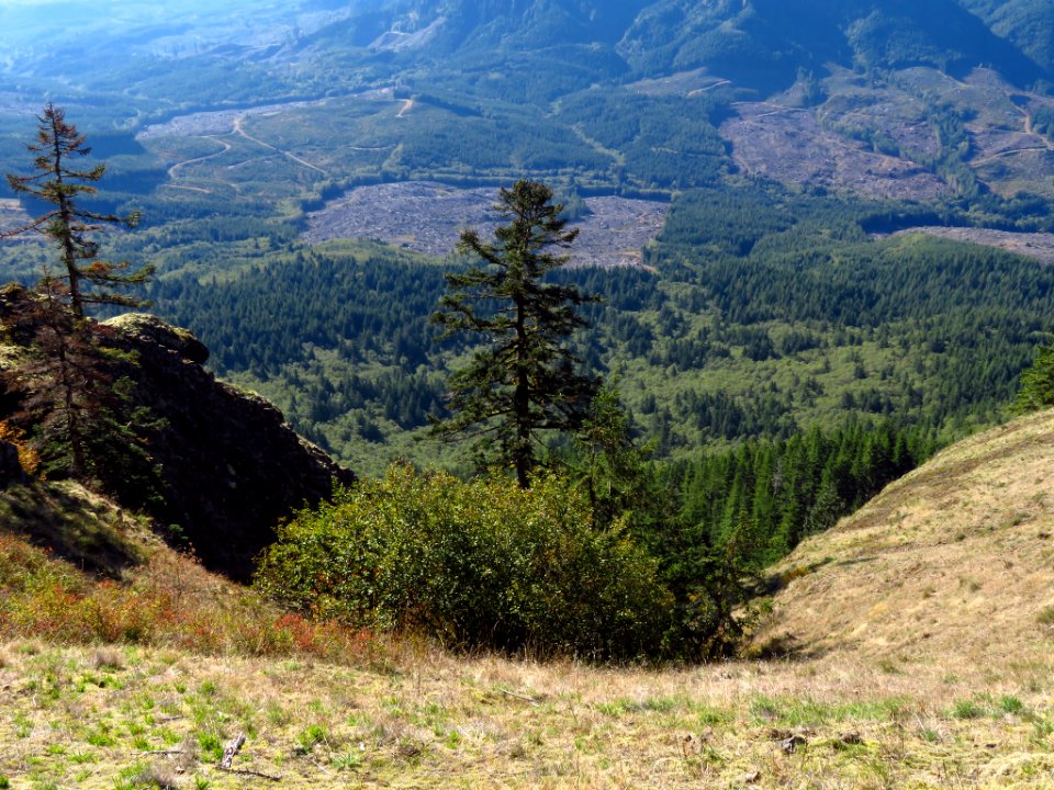 Saddle Mountain Trail in OR