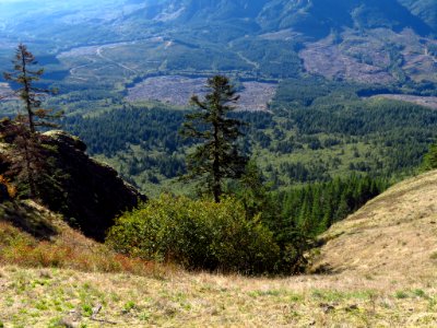 Saddle Mountain Trail in OR