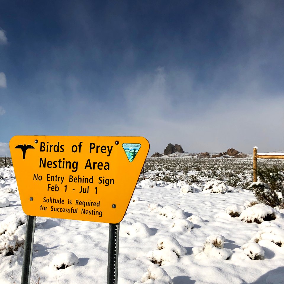 Snow Birds, Ridgecrest Field Office