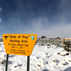 Snow Birds, Ridgecrest Field Office