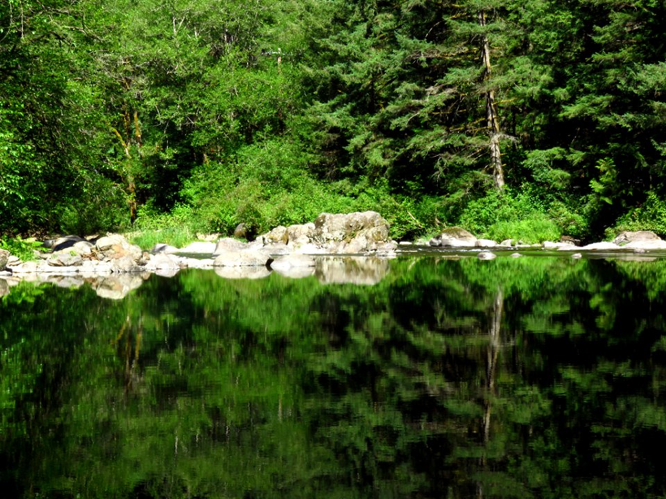 Moulton Falls Park at Lewis River in WA