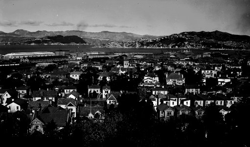 420; Elevated view of Thorndon flats - Circa 1940