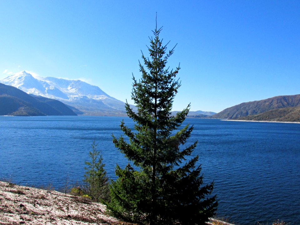 Spirit Lake at Mt. St. Helens NM in WA