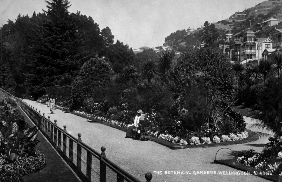 00138-12418; Walkway and flowerbeds, Botanic Garden - [1910]