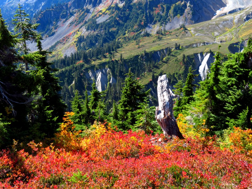 Autumn at Artist Point in WA