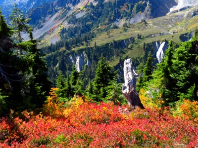 Autumn at Artist Point in WA photo