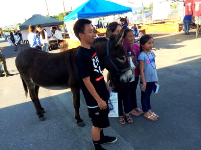 Grant High School Students Meet Burros