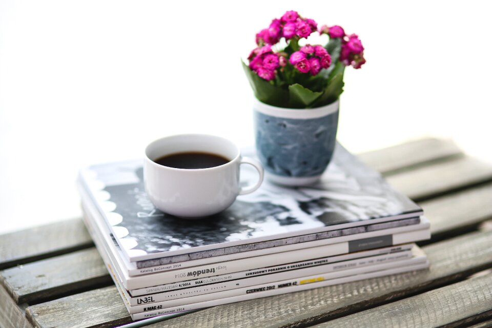 Coffee flower kalanchoe