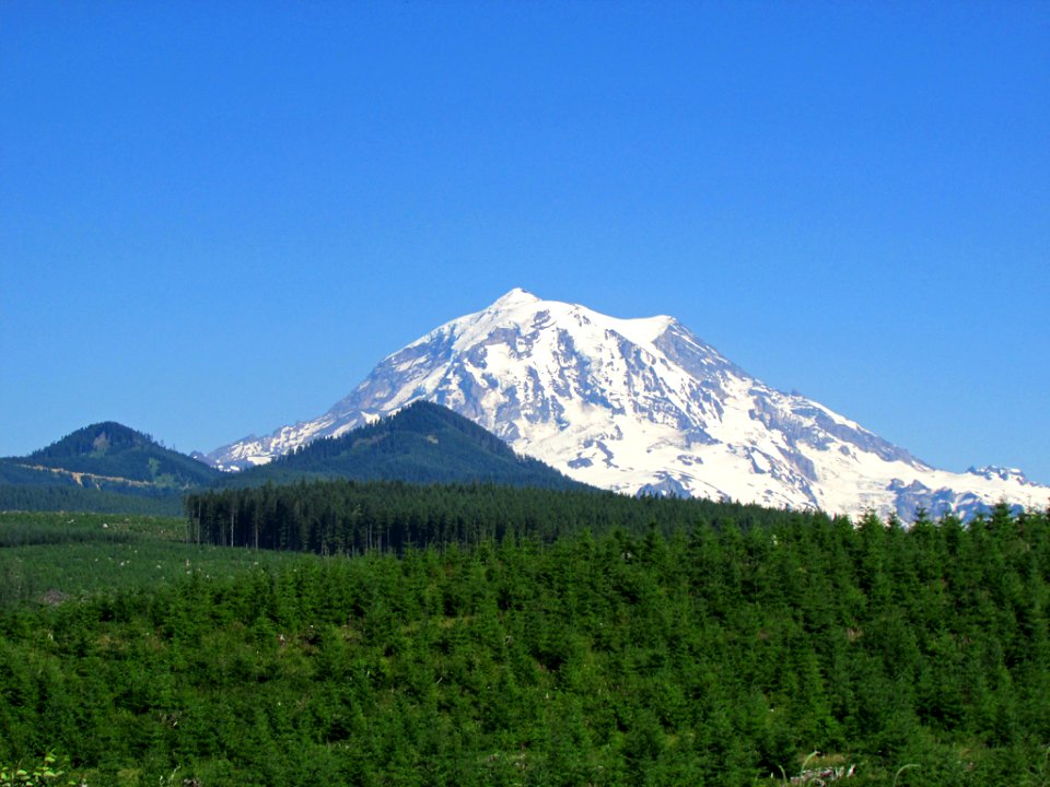 Mt. Rainier NP in WA
