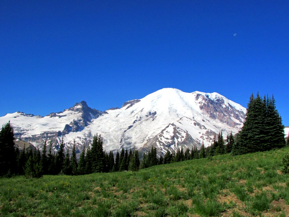 Mt. Rainier NP in WA
