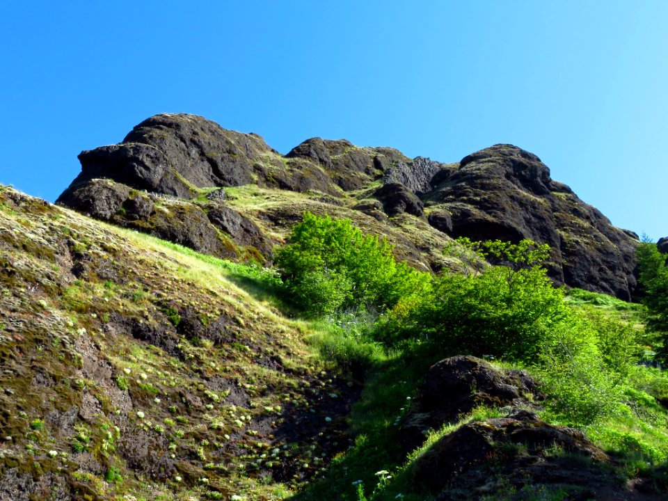Saddle Mountain Trail in OR