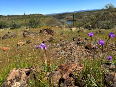 Sacramento River Bend, Yana Trail