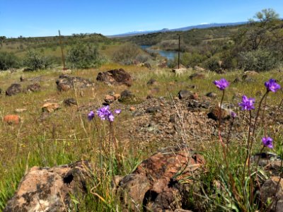 Sacramento River Bend, Yana Trail photo