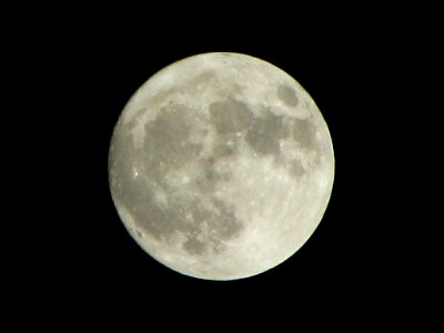 Supermoon 3-19-11 photo