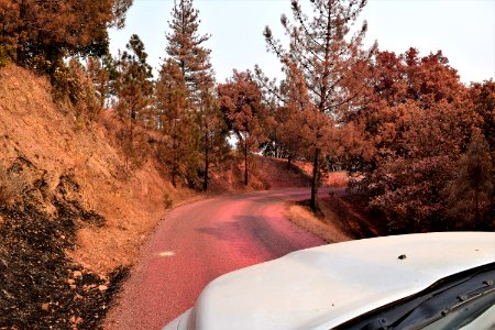 2018 Carr Fire