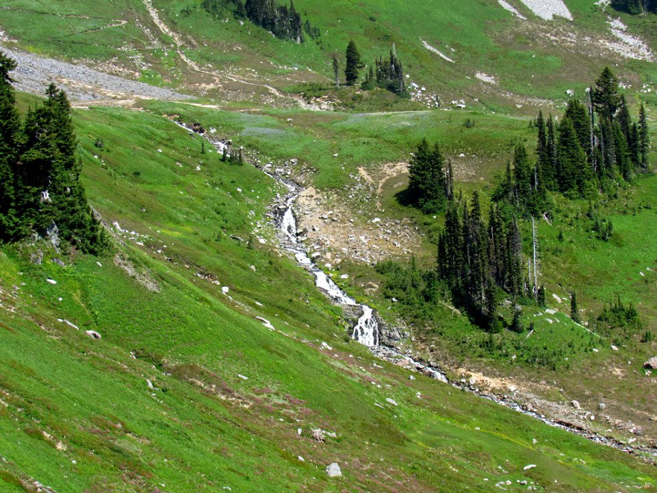 Waterfall at Skyline Trail at Mt. Rainier NP in WA