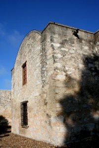 Alamo photo