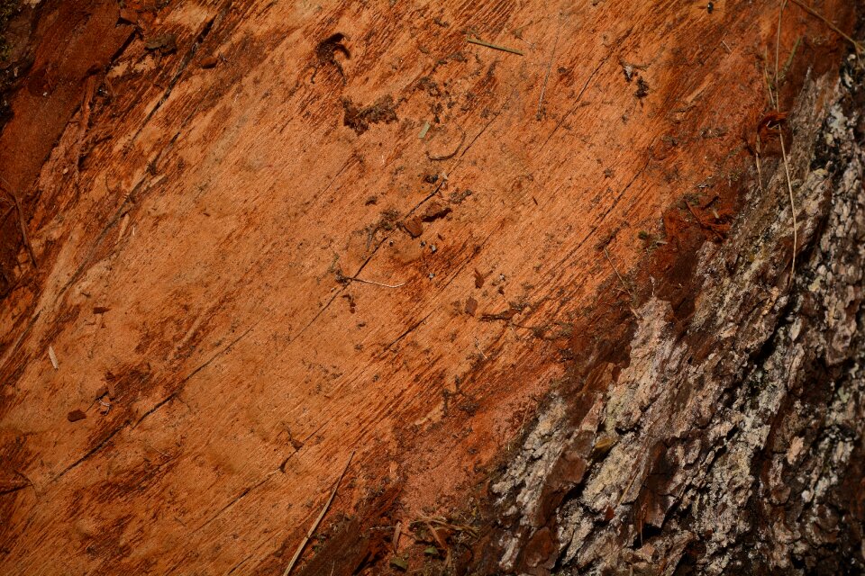 Close up texture background