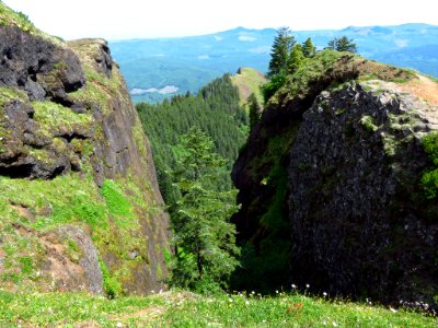 Saddle Mountain Trail in OR
