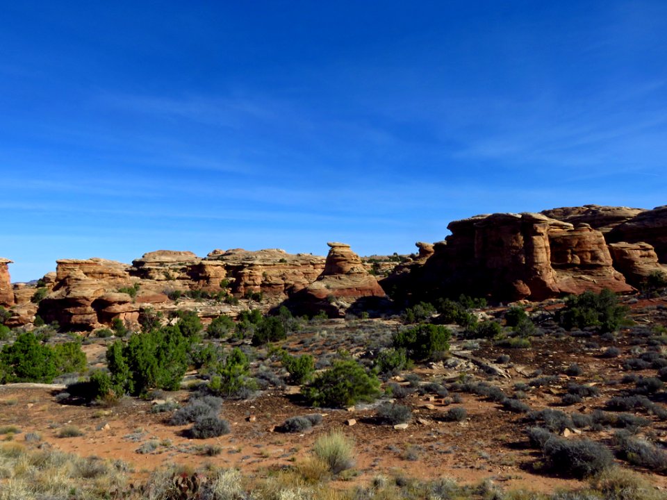 Needles District at Canyonlands NP in Utah