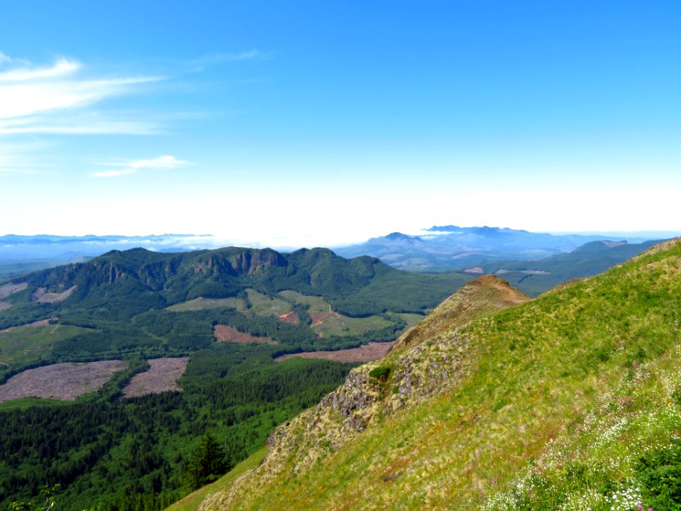 Saddle Mountain Trail in OR