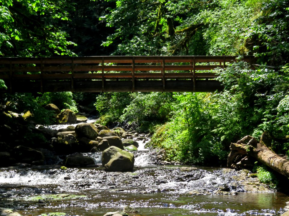 Oneonta Creek at Columbia River Gorge in Oregon