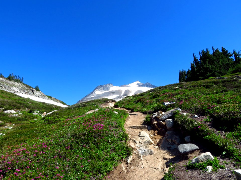 Cascade Pass at North Cascades NP in WA