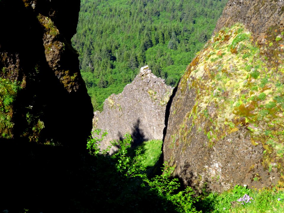 Saddle Mountain Trail in OR