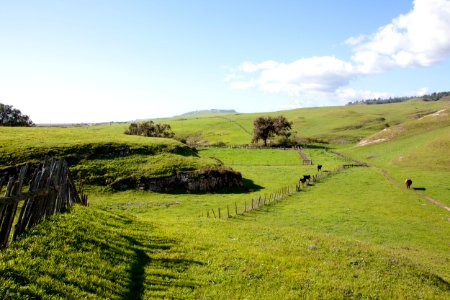 Cotoni-Coast Dairies photo