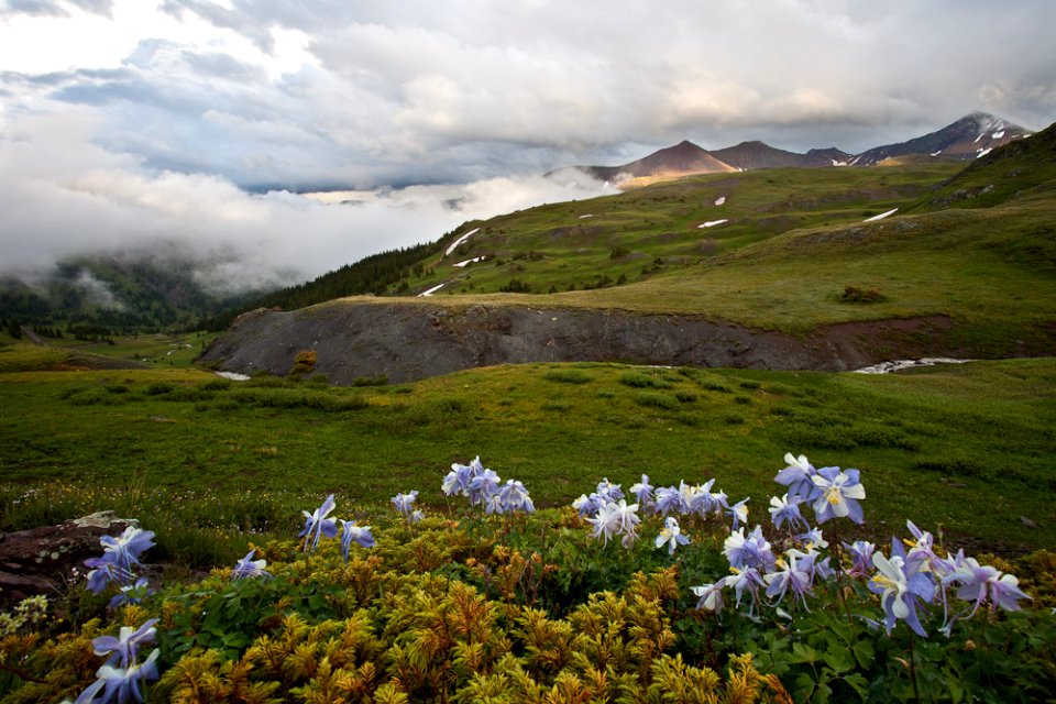 Alpine Triangle