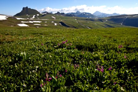 Uncompahgre Wilderness