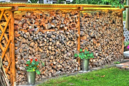 Stack firewood beech