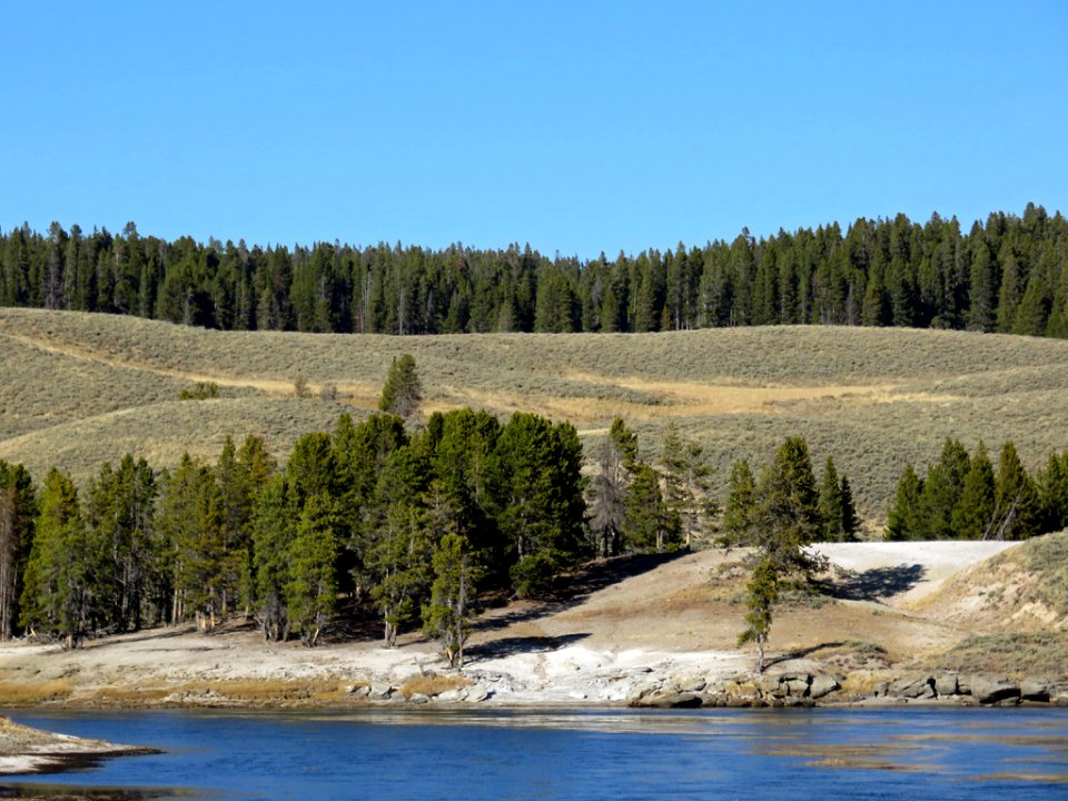Yellowstone NP in Wyoming