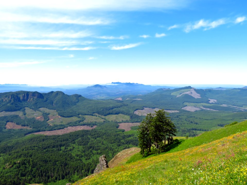Saddle Mountain Trail in OR