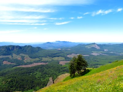 Saddle Mountain Trail in OR photo