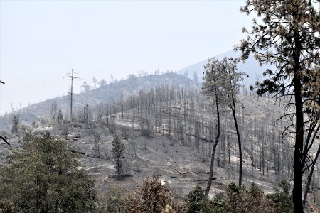 2018 Carr Fire