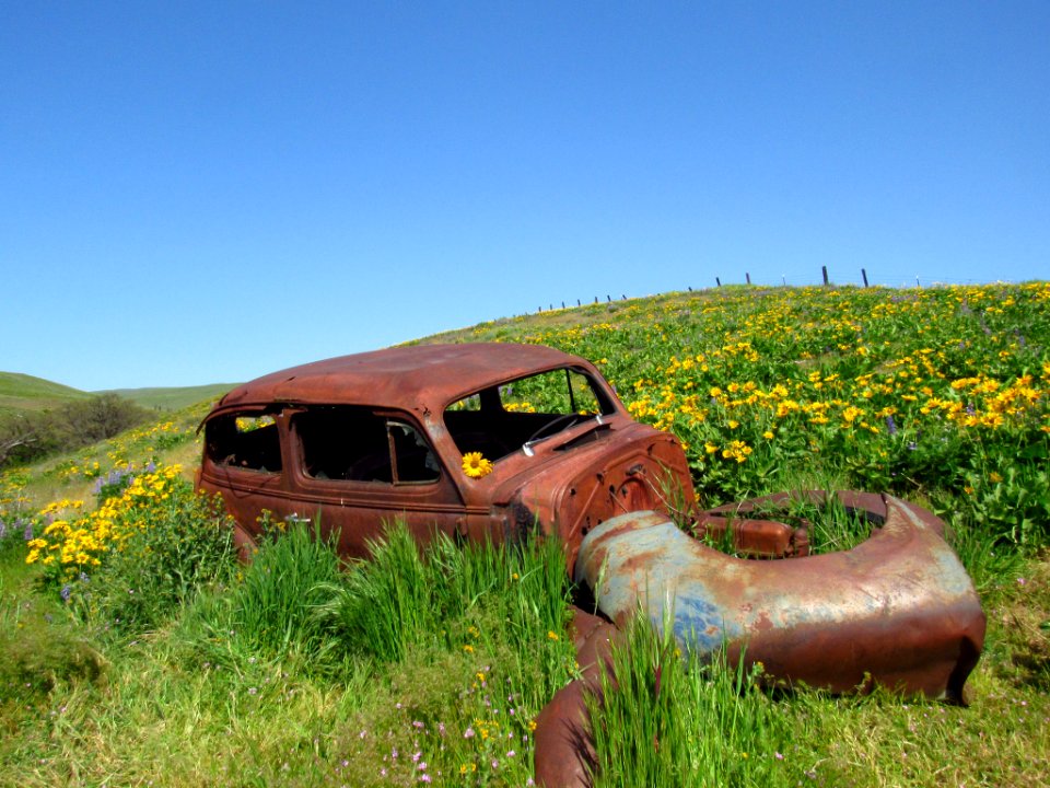 Abandoned Car at Dalles Mt. Ranch in WA