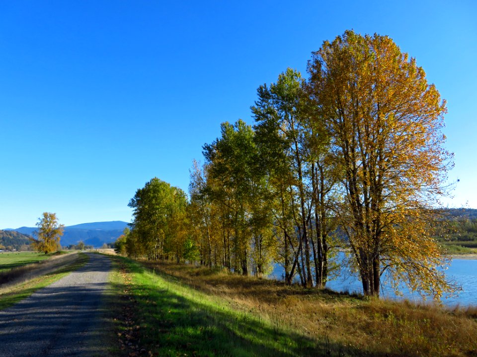 Autumn at Steigerwald Lake NWR in WA