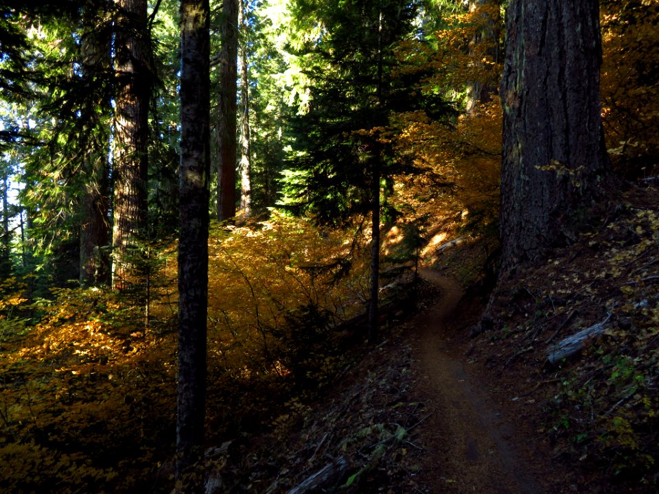 Ape Canyon Trail in WA